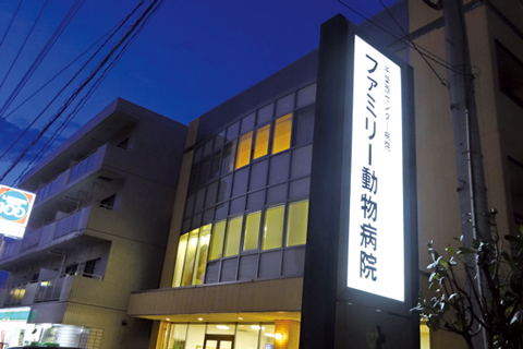 休診日なし土日も診療しています